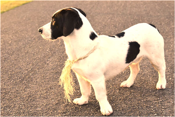 夢到了和同鄉之間有競爭什麼預兆_周公解夢官網