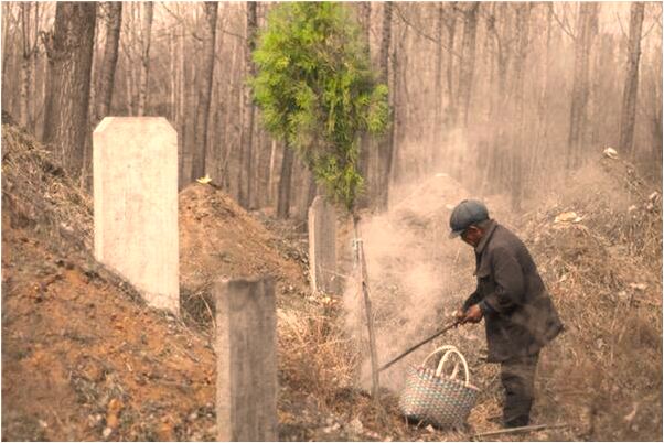 夢到了回到童年被牛頂了怎么回事_周公解夢官網