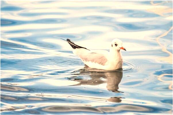 夢到了小孩拉屎到褲子裡意味著什麼_周公解夢官網