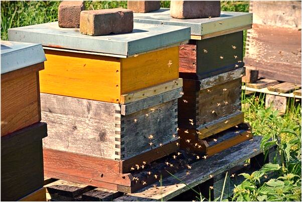 夢到自己孩子哭泣意味著什麼_周公解夢官網