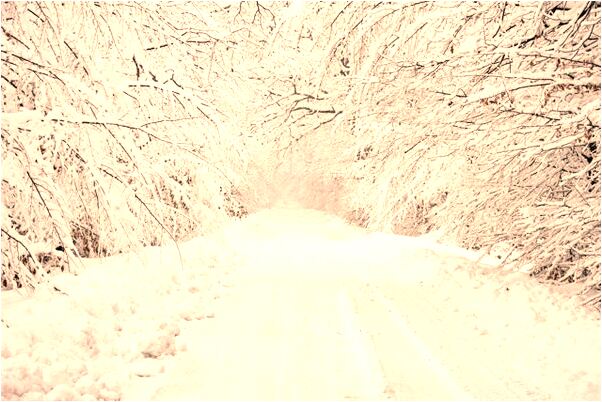 夢見雪山上有行清晰漂亮的字代表著什麼_周公解夢官網