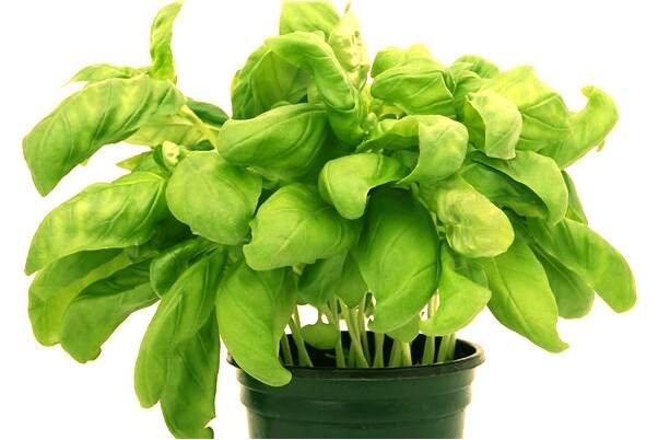 夢見坐在高處要掉下來有什麼意思嗎_周公解夢官網