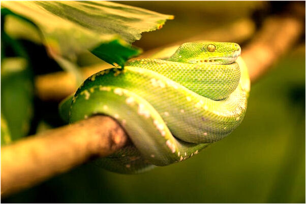 夢到生日宴會上爸爸等小三什麼預兆_周公解夢官網