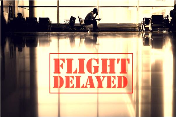 夢到狗握手是咋回事_周公解夢官網