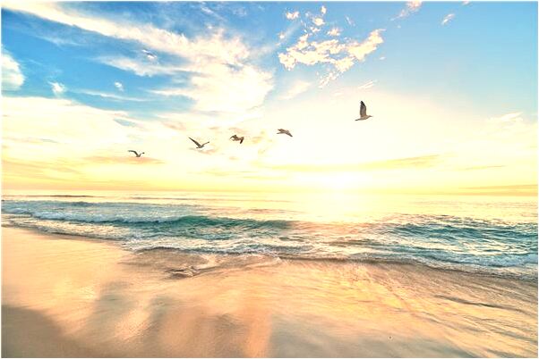 夢見沾上死人的血是什麼啟示_周公解夢官網