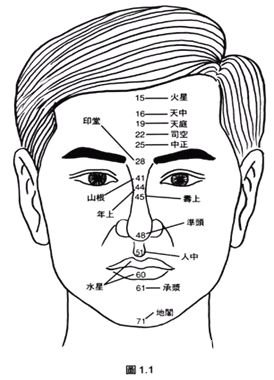 峰生水起面相學：第01課 中央十四氣勢_看相大全