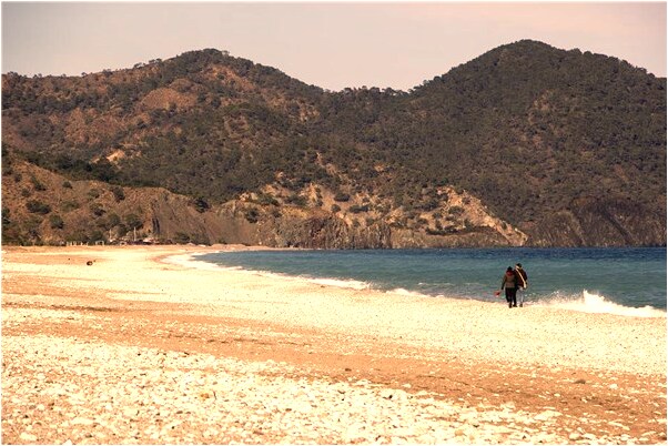 夢到了好多狐狸好多好多有什麼寓意嗎？_周公解夢官網