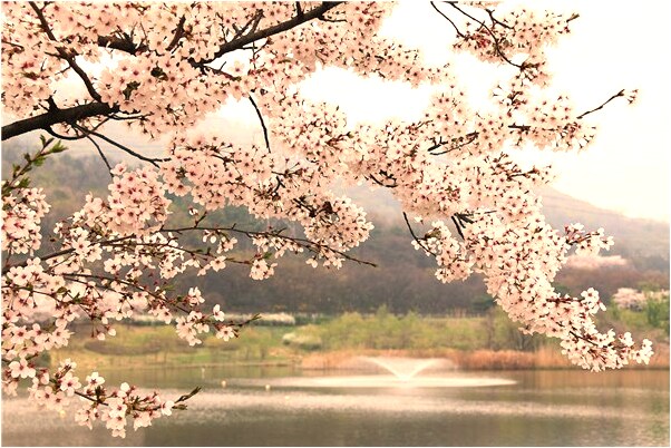 夢見膝蓋出血會怎么樣_周公解夢官網