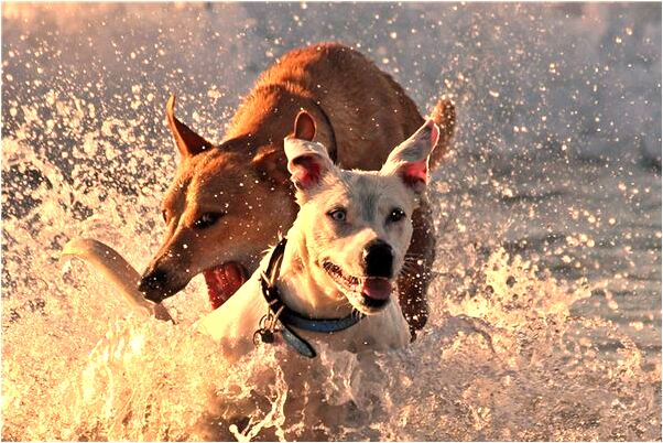 夢到了老公和別人親熱是什麼意思_周公解夢官網