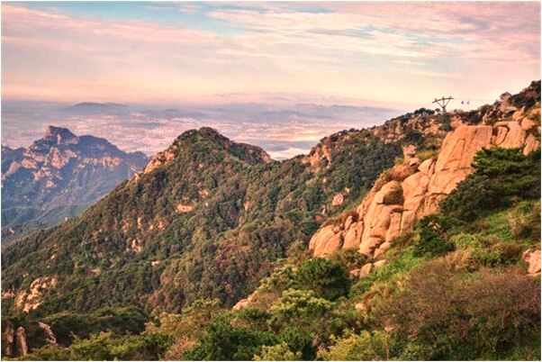 夢見別人送我個紅蔥頭是什麼徵兆_周公解夢官網