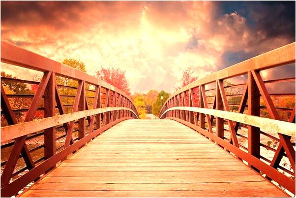 夢見拉兩車柴賣預示什麼_周公解夢官網