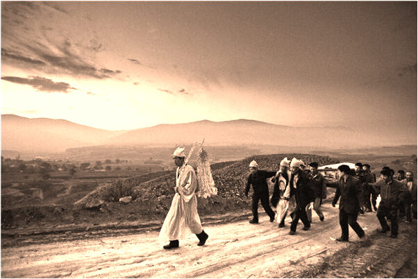 夢到了和同事在海辺撿海鮮有什麼徵兆_周公解夢官網