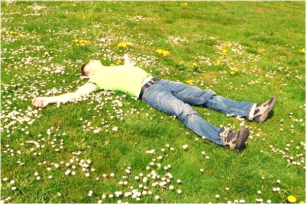 夢到了胎夢紅豬是什麼預兆_周公解夢官網