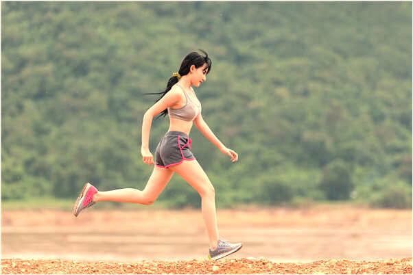 夢見狗跑到自己家裡面來了是凶兆還是吉兆_周公解夢官網