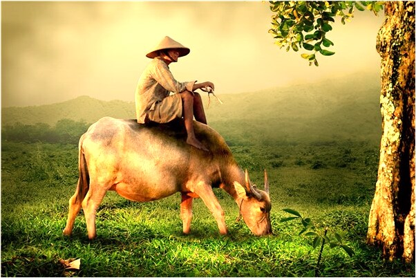 夢見蛇爬在我的身體上會是什麼預兆_周公解夢官網