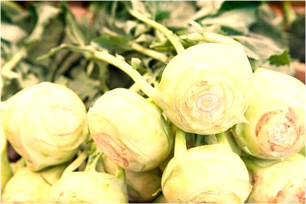 夢到了捉了大小兩隻兔子代表著什麼？_周公解夢官網