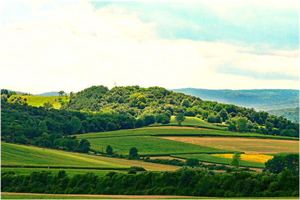 夢見海里很多烏龜上岸是怎么回事_周公解夢官網