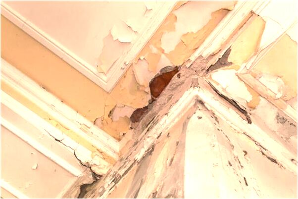 夢到我領著花轎碰見鬼抬花轎意味什麼_周公解夢官網