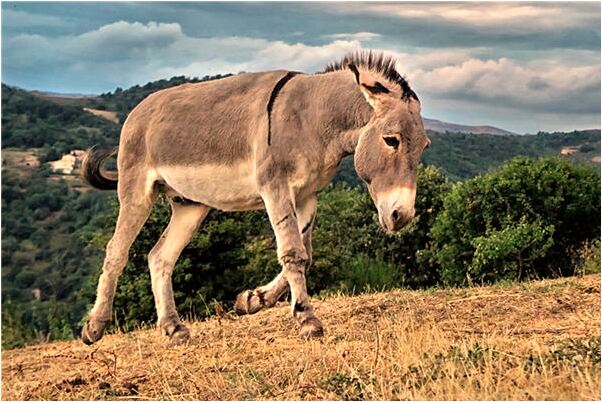 夢見水受傷被救回是什麼意思_周公解夢官網