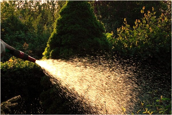 夢見去別人家睡覺怎么回事_周公解夢官網