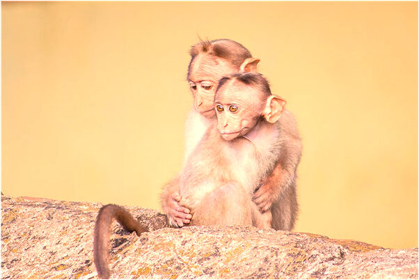 夢見過去的生活會是什麼預兆_周公解夢官網