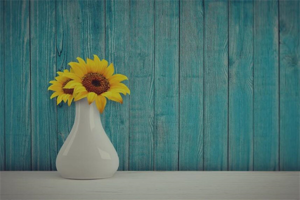 夢見瓷瓶什麼預兆_周公解夢