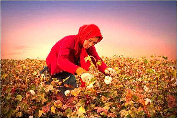 夢到了兩車追擊出車禍啥意思_周公解夢官網