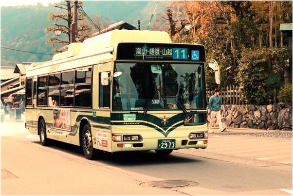 夢到先被狗咬後把那狗打死了會有什麼預兆_周公解夢官網