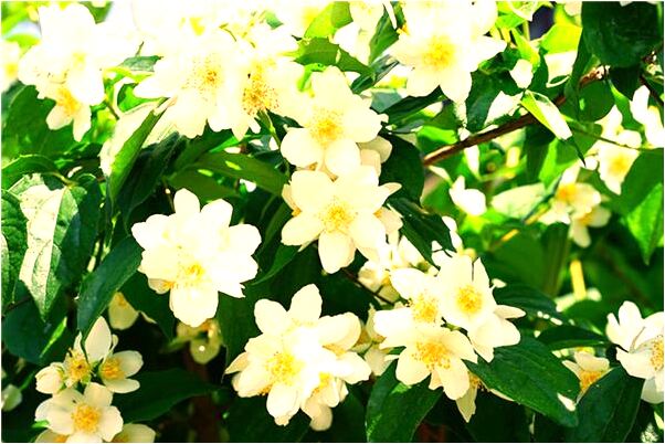 夢到了自己什麼衣服都沒穿是咋回事_周公解夢官網