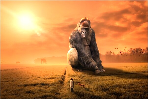 夢到了大街上和老公作愛的預兆_周公解夢官網