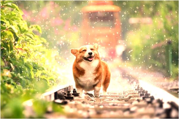 夢到身穿紅衣啥意思_周公解夢官網