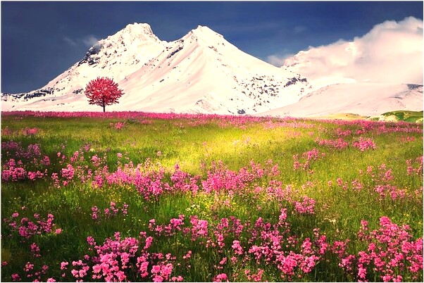 夢到了與高層囈飯是不是好的徵兆呢_周公解夢官網