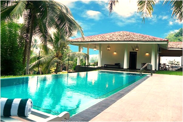 夢見床下長出菜意味著什麼_周公解夢官網