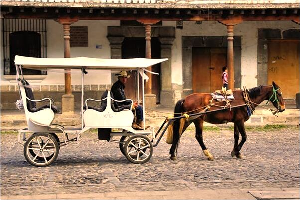 夢到了自己嘔吐出髒水會是什麼預兆_周公解夢官網