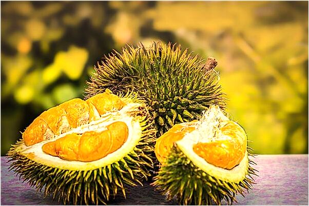 夢到不認識的男孩有什麼寓意嗎_周公解夢官網