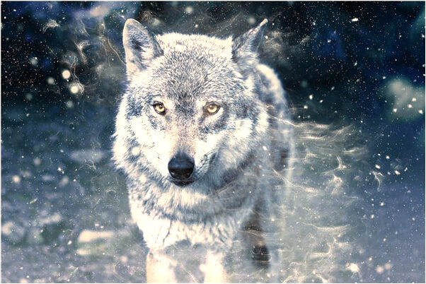 夢見做妓女和別人做愛預兆了什麼嗎_周公解夢官網