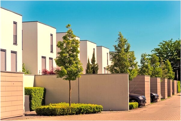 夢到了我追狗熊怎么樣_周公解夢官網