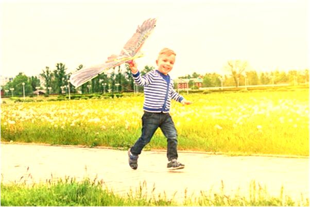 夢到好姐妹說被乾會是什麼預兆_周公解夢官網