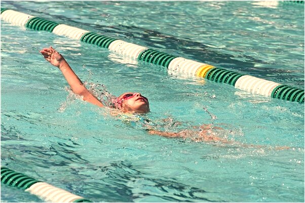 夢到了被狸貓追是不是好的徵兆呢_周公解夢官網