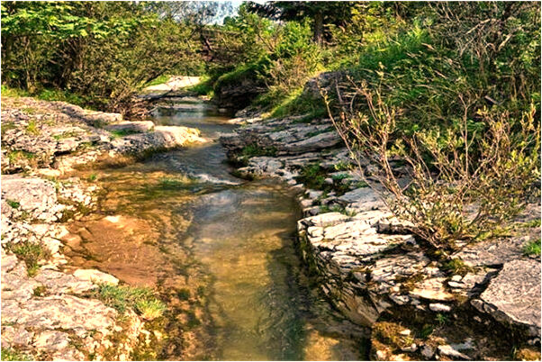 夢到自己兒子變成兩個會是什麼預兆_周公解夢官網