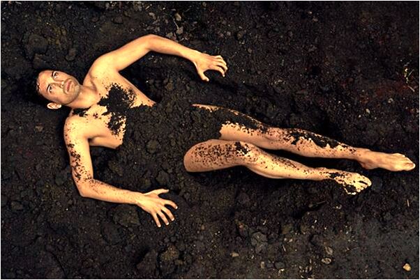 夢到不敢切魚腦袋預示著什麼_周公解夢官網