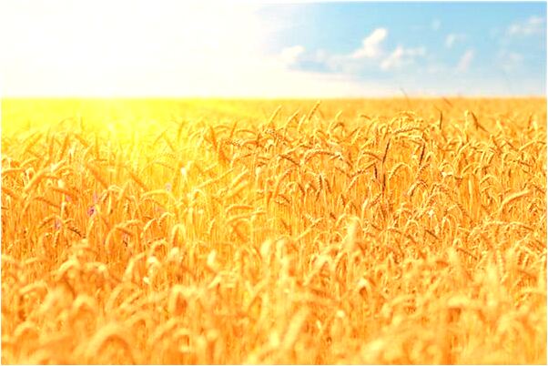 夢到自己買筆怎么說_周公解夢官網