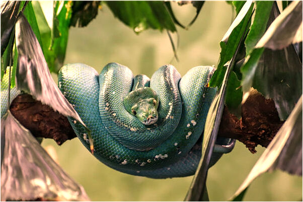 夢到被人喊醒是好事還是壞事_周公解夢官網