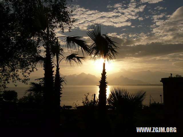 夢見被老虎追咬_周公解夢夢到被老虎追咬是什麼意思_做夢夢見被老虎追咬好不好_周公解夢官網