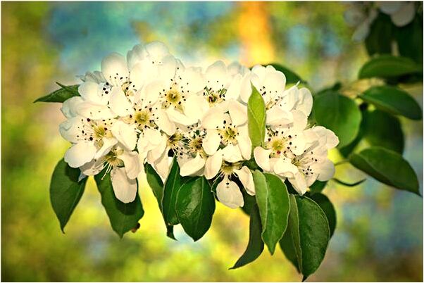 夢見開車通過深水車內進水是什麼徵兆_周公解夢官網