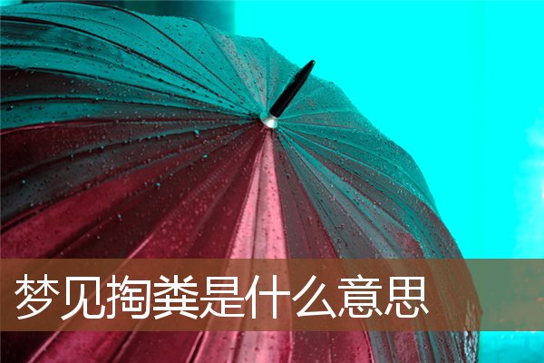 夢見掏糞是什麼意思_周公解夢