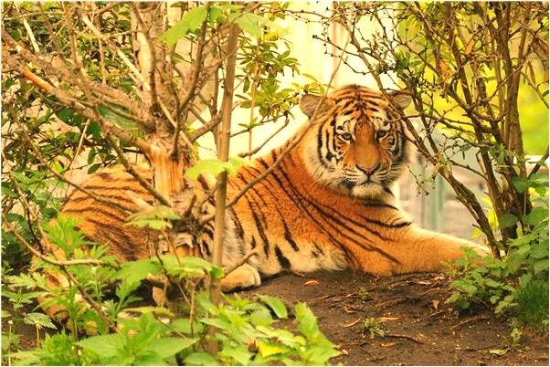 夢到了睡覺靈魂出竅有什麼意思_周公解夢官網