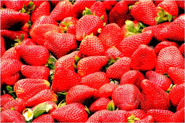 夢到老妹我結婚有人搶婚是什麼預兆_周公解夢官網