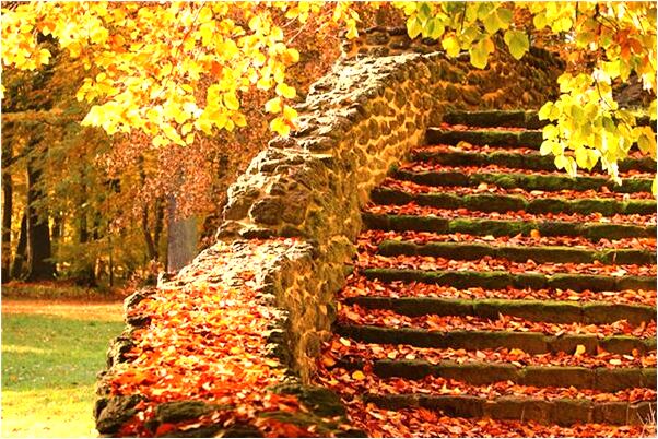 夢到了說自己的單位好意味什麼_周公解夢官網