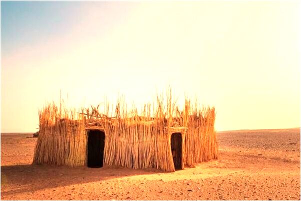 夢見推銷藥品有什麼意思嗎_周公解夢官網